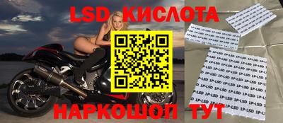 сатива Славгород
